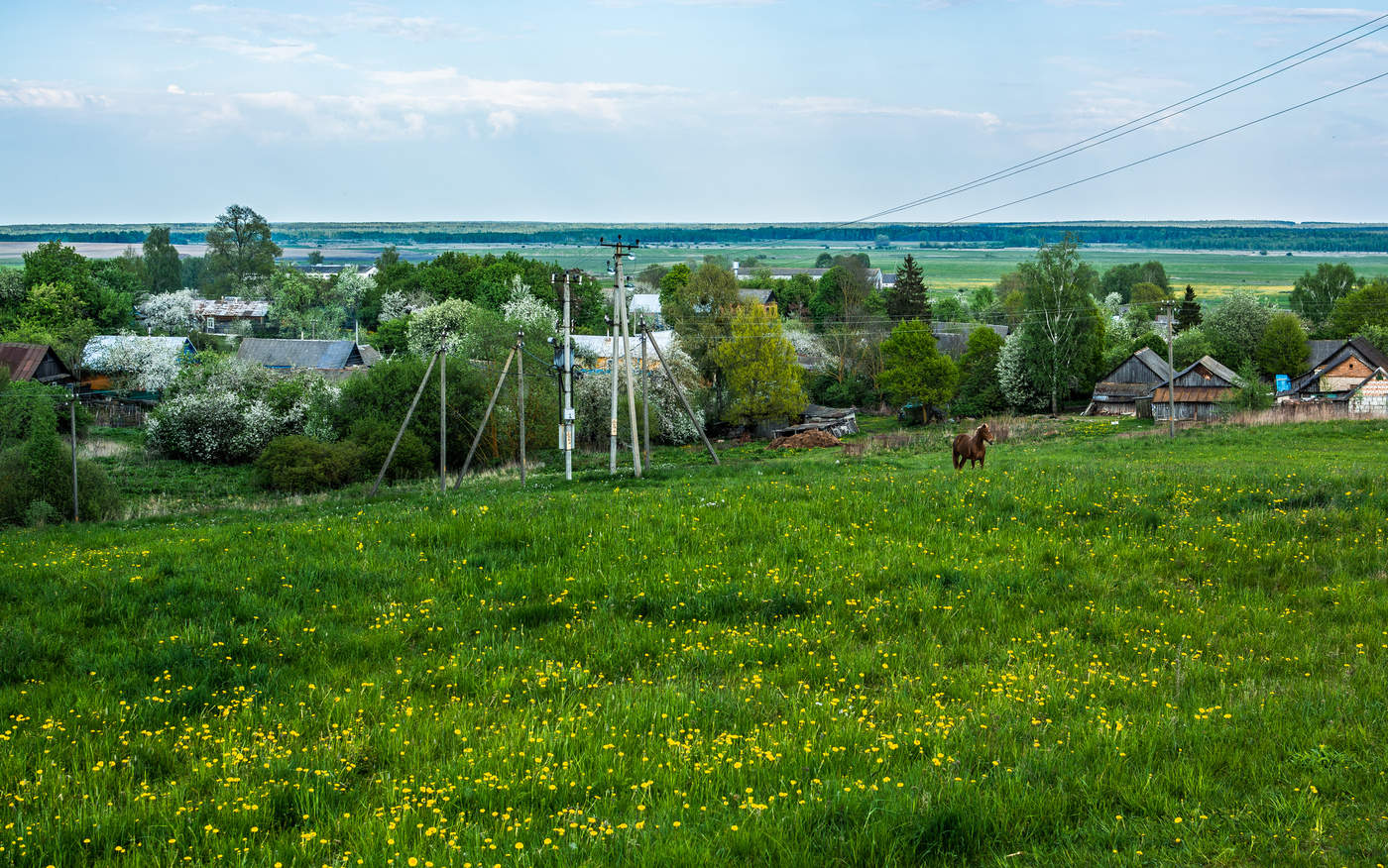 Gärten in voller Blüte
