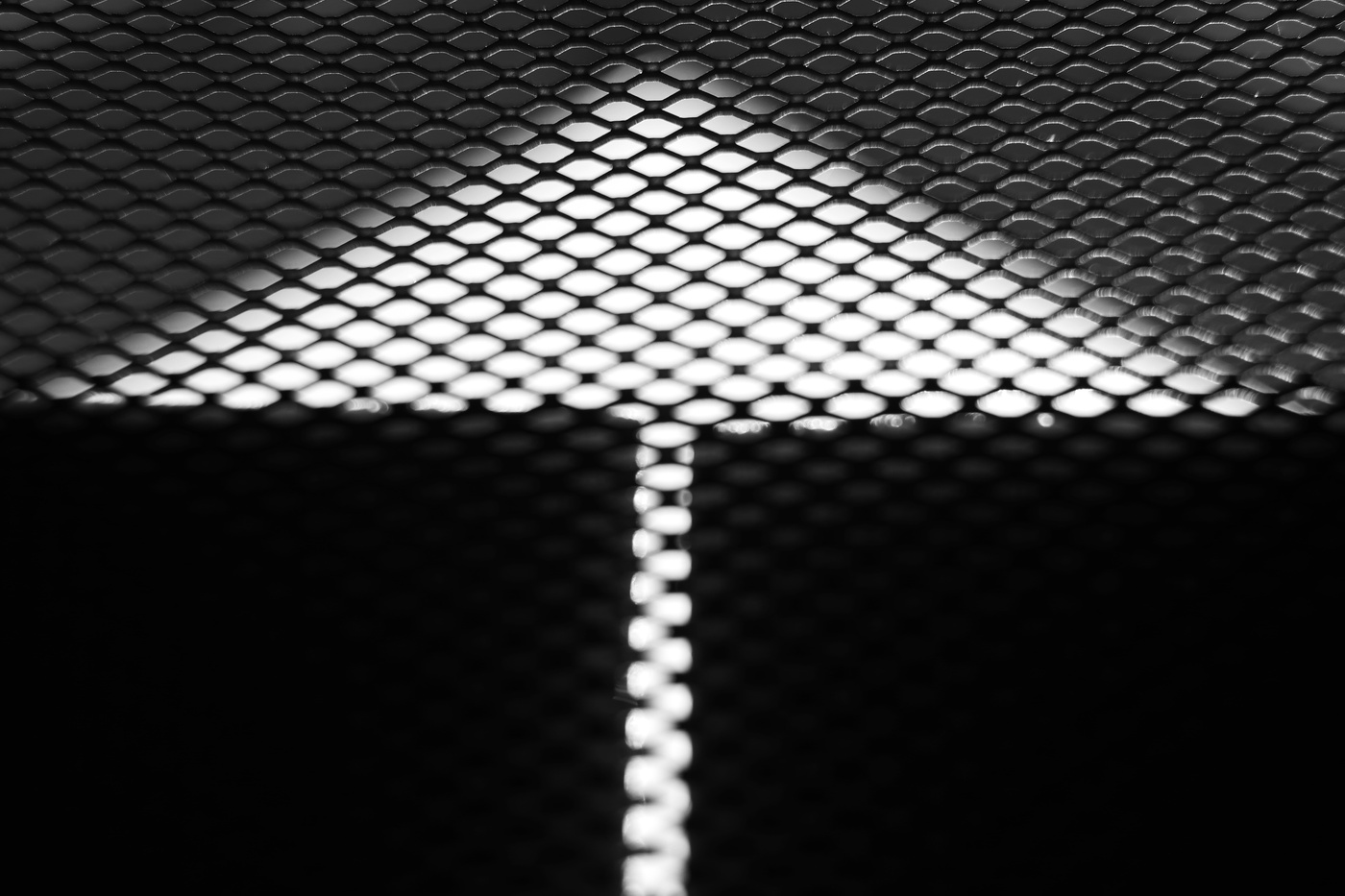 In einem Netzwerk ...