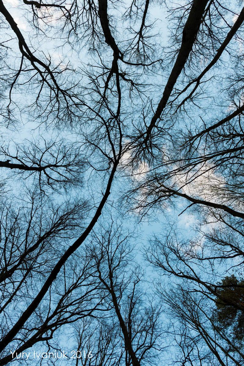 Himmel gerichtetem Blick