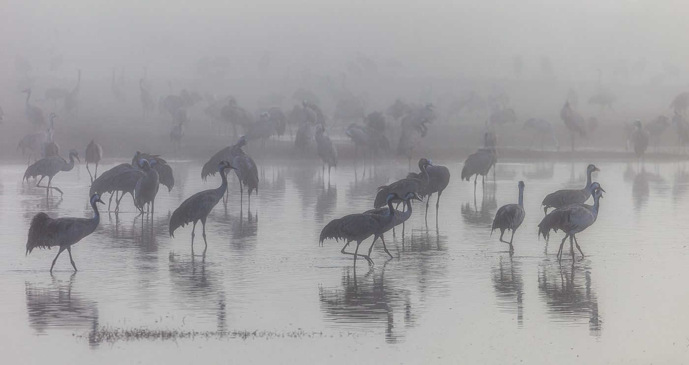 In dem weißen Nebel