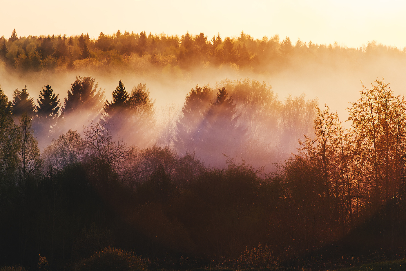 karierten Licht und Schatten