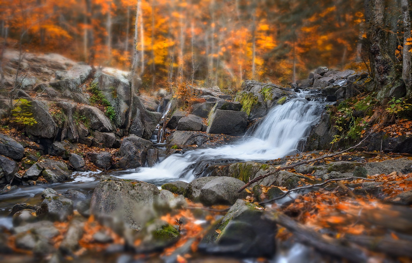The Carbide Wilson Ruins