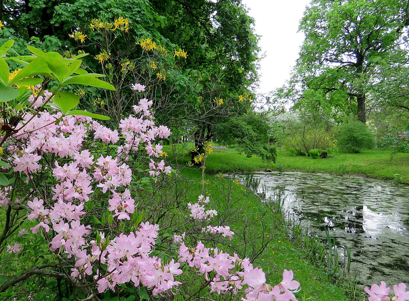 Frühlingslandschaft