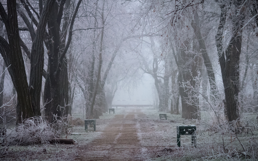 Ein frostiger Morgen