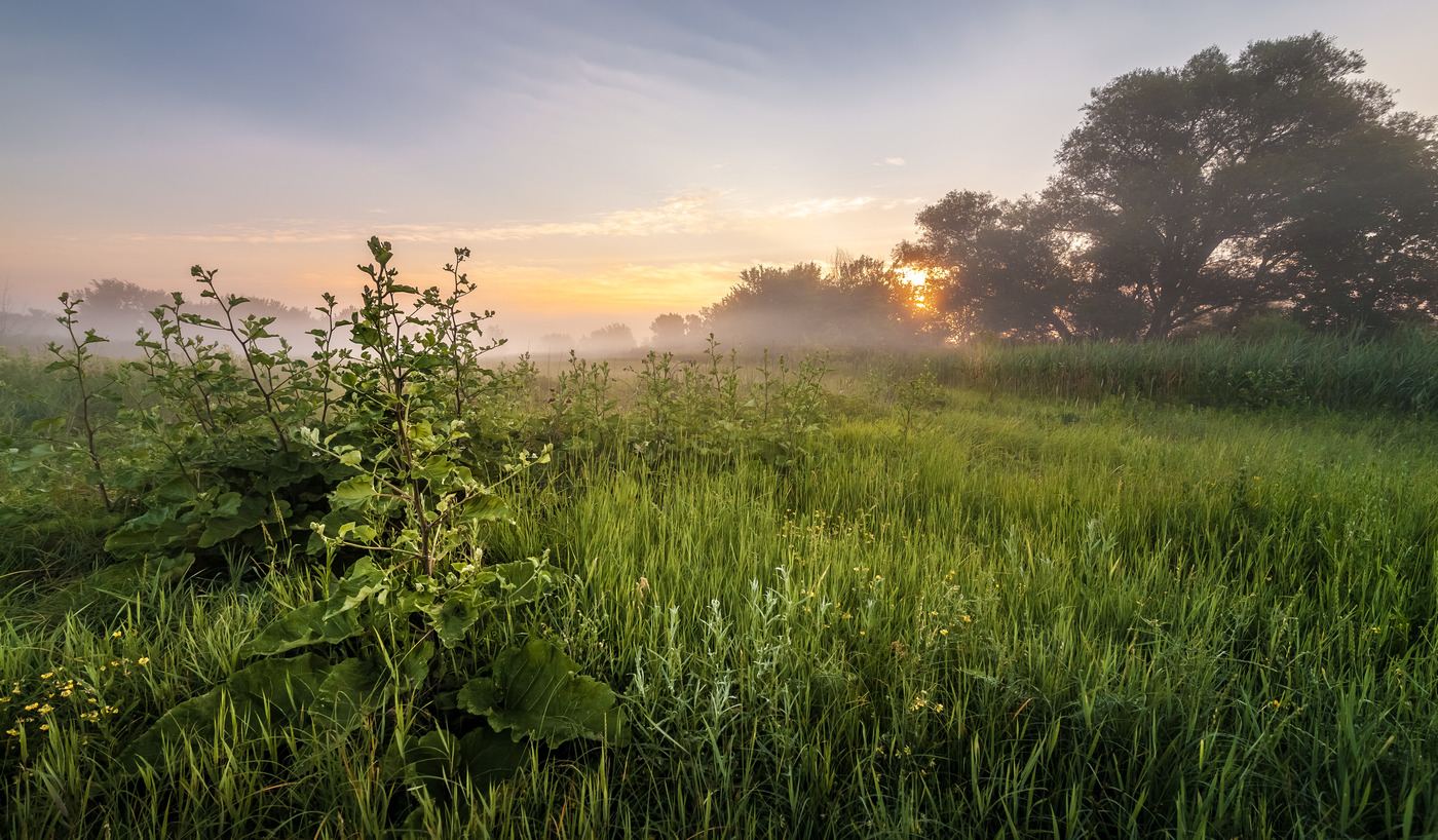 Auf dem Weg zum Morgengrauen