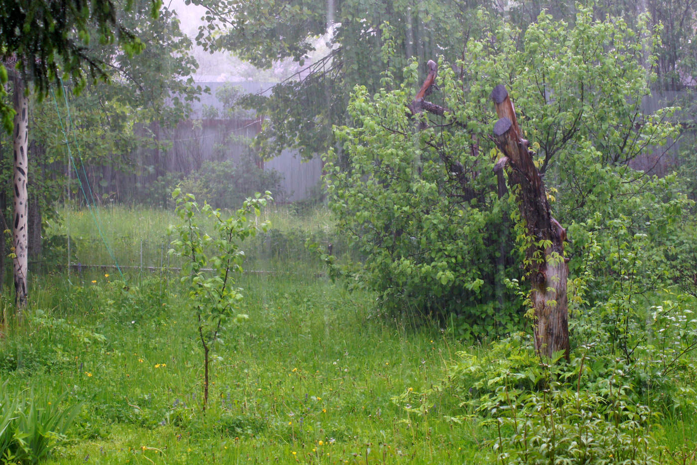 Regen im Mai