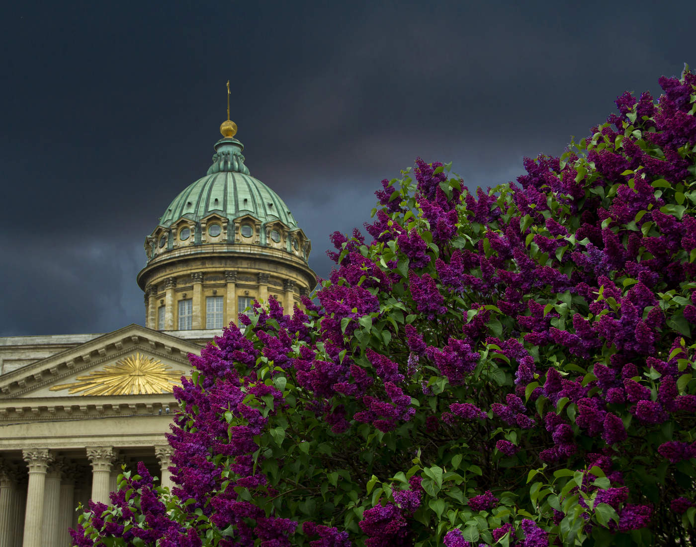Frühling in der City