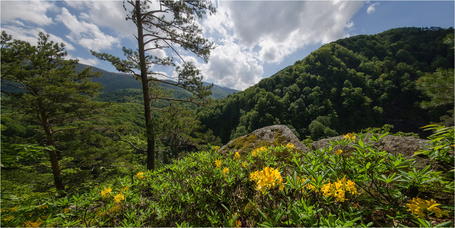 An einem sonnigen Nachmittag