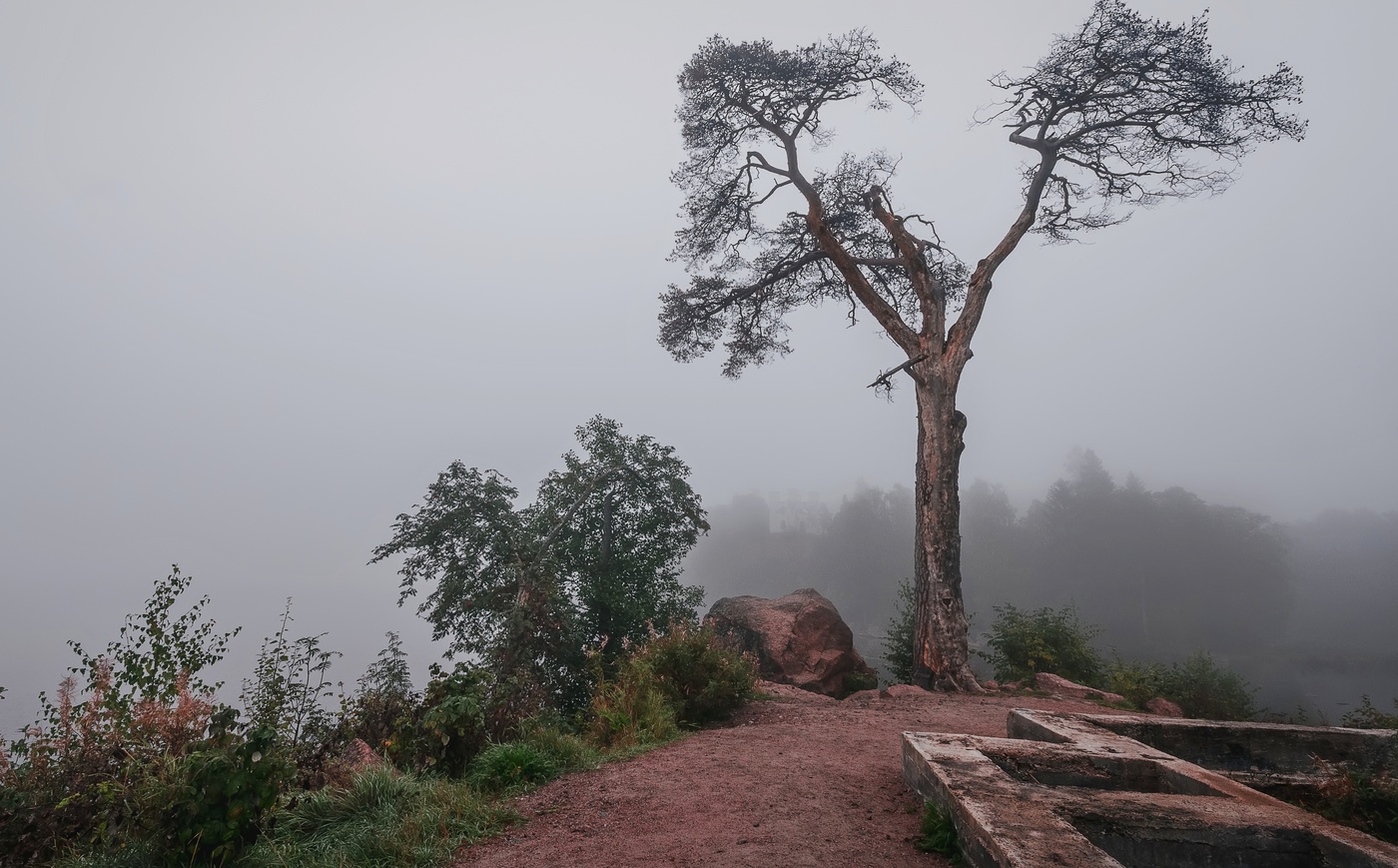 nebligen Morgengrauen