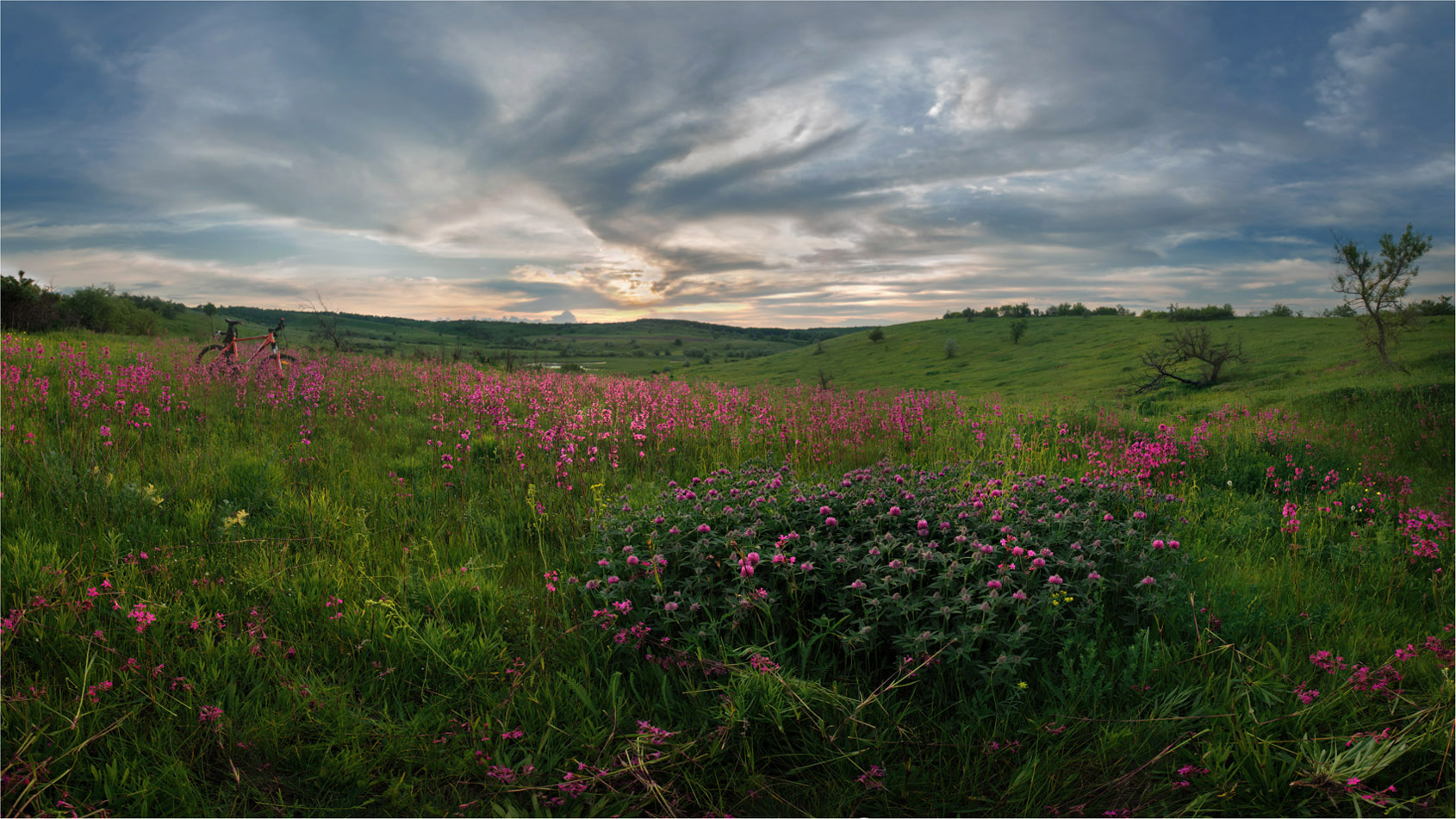 Letzter Tag des Frühlings