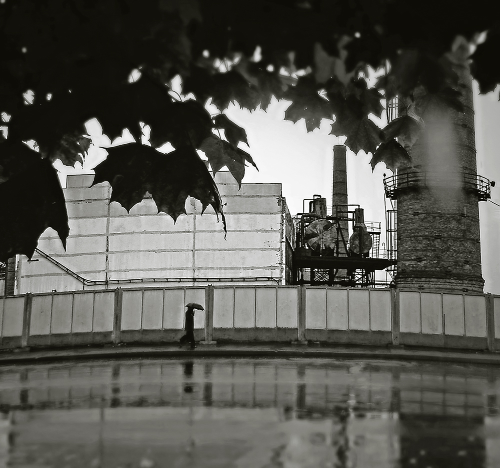 Nach einer regen ...