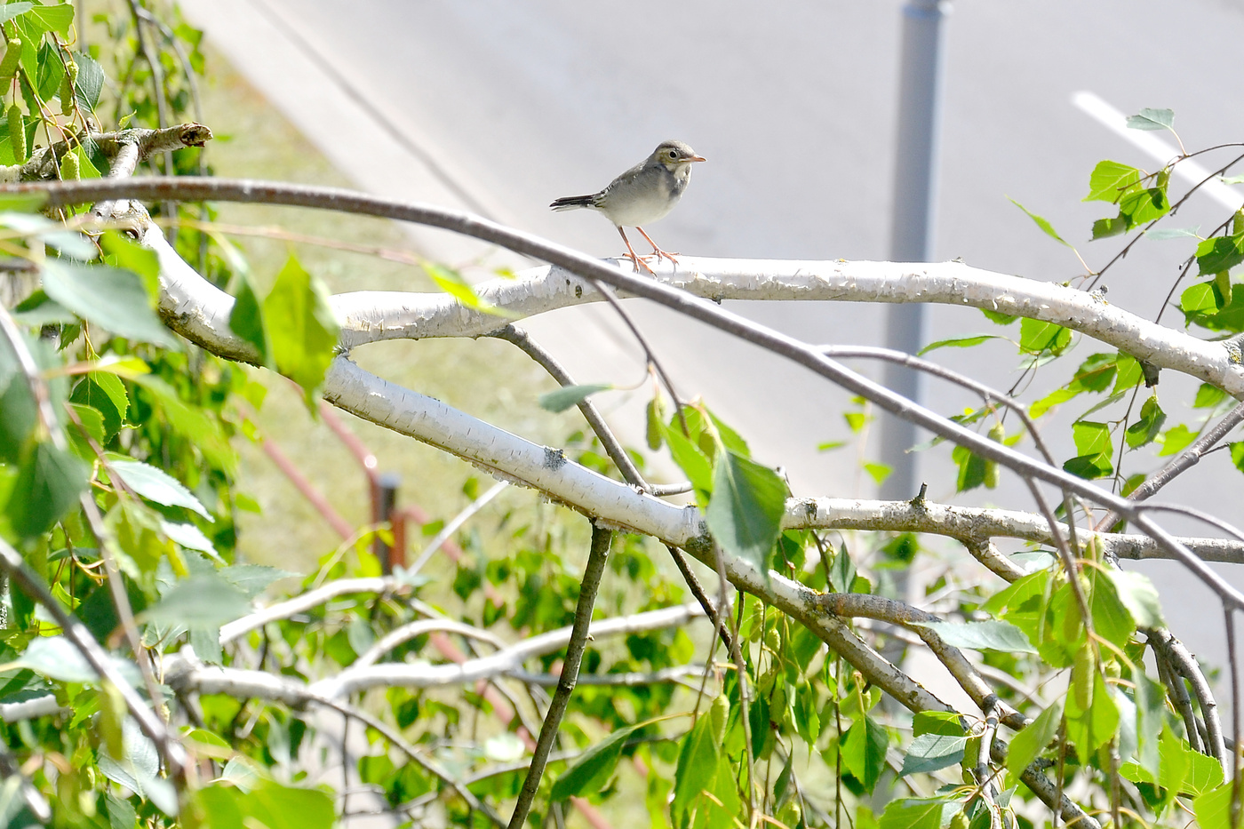 Blick aus dem Fenster