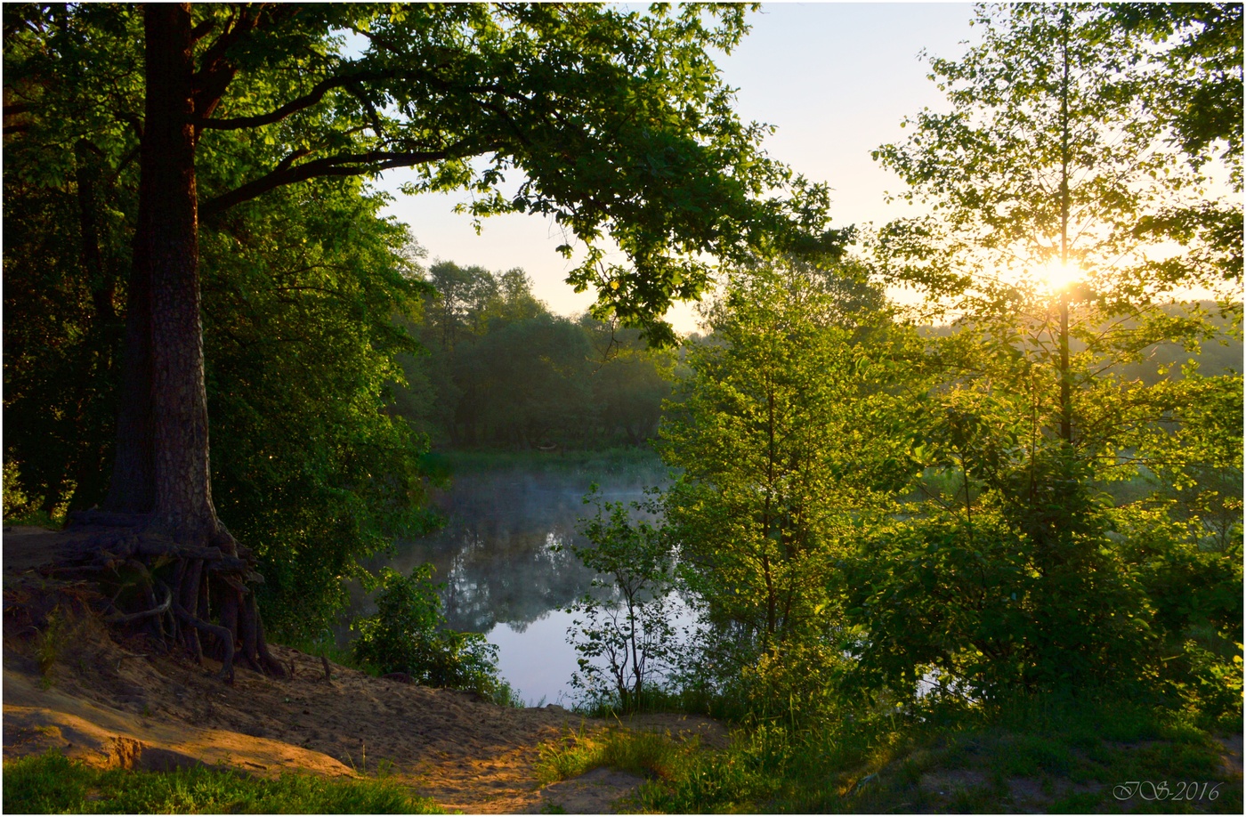 Morgen auf dem Fluss
