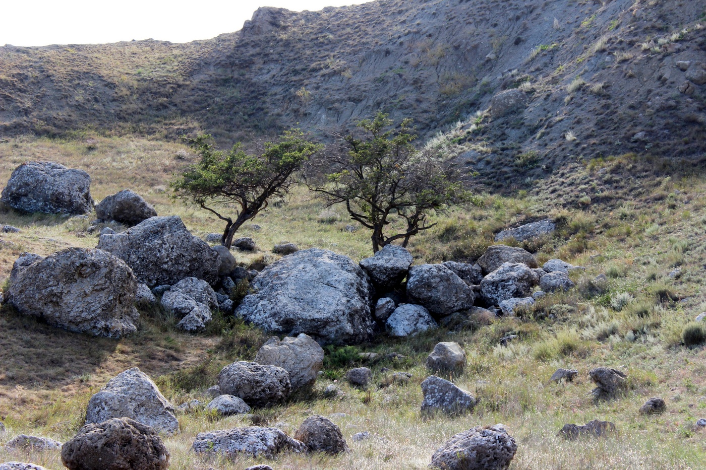 Die unerträgliche Leichtigkeit des Seins