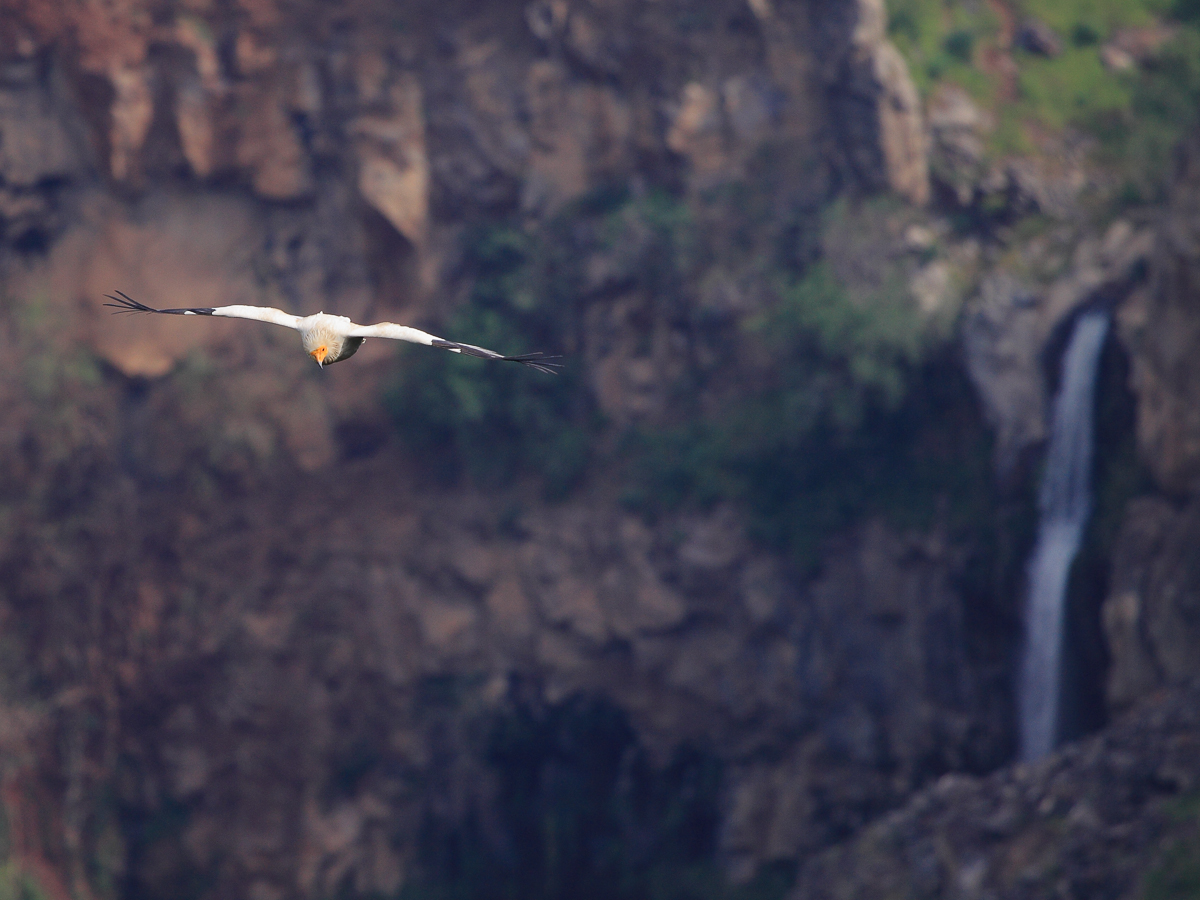Die unerträgliche Leichtigkeit des Seins