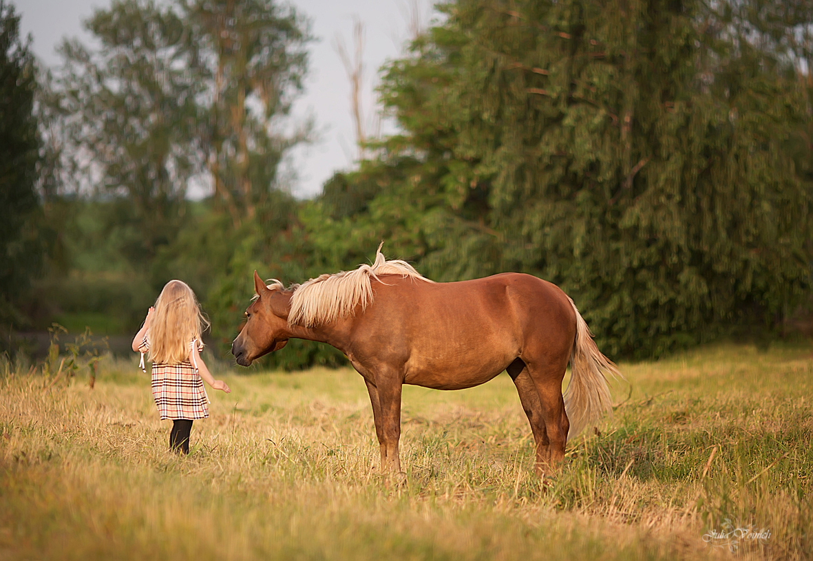 Die unerträgliche Leichtigkeit des Seins