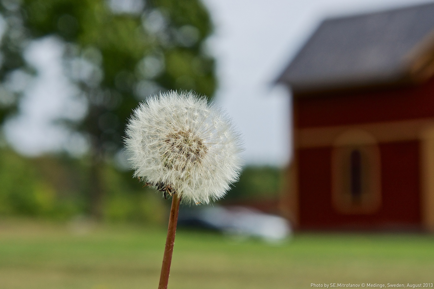Die unerträgliche Leichtigkeit des Seins