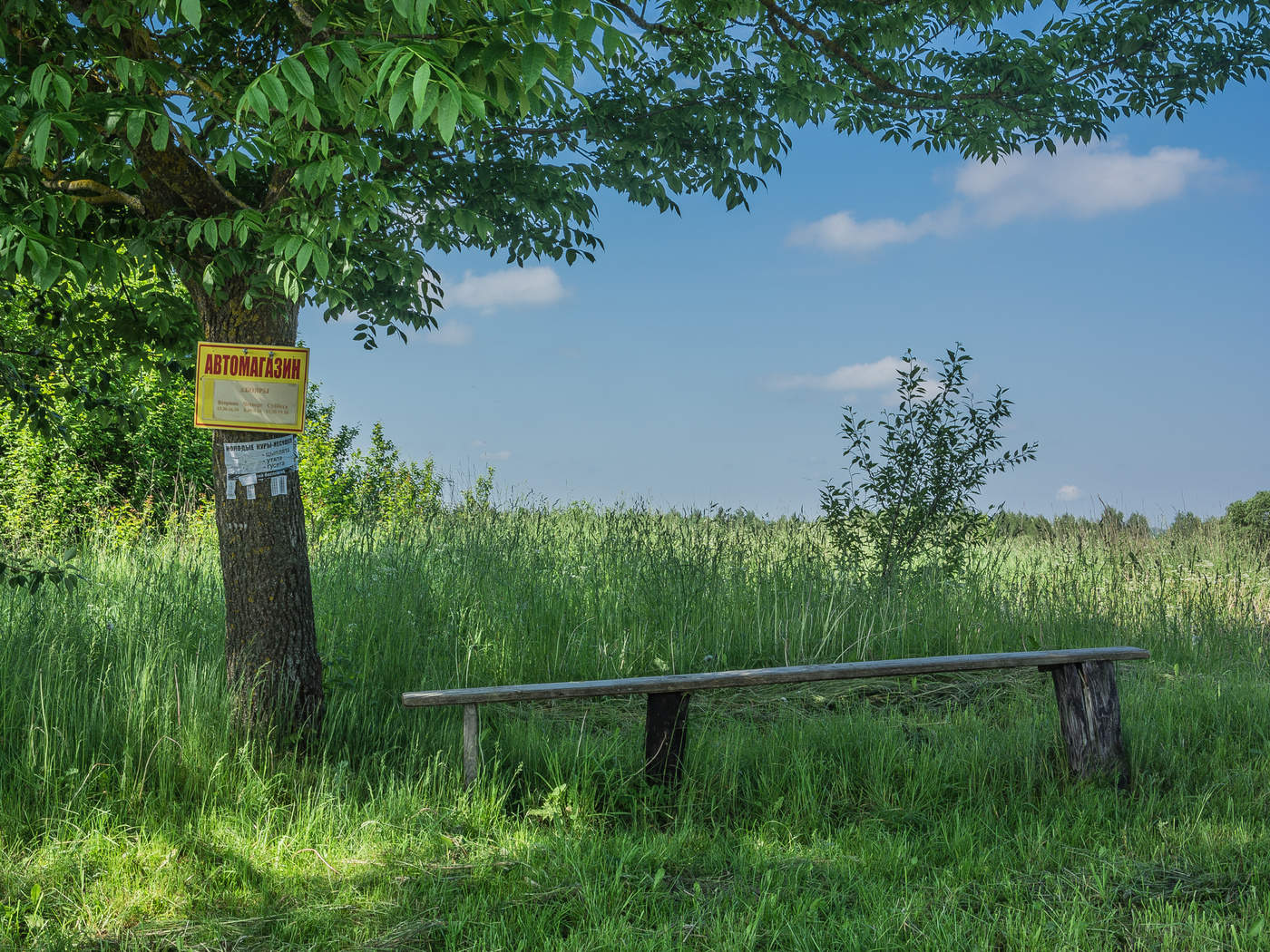 Die unerträgliche Leichtigkeit des Seins