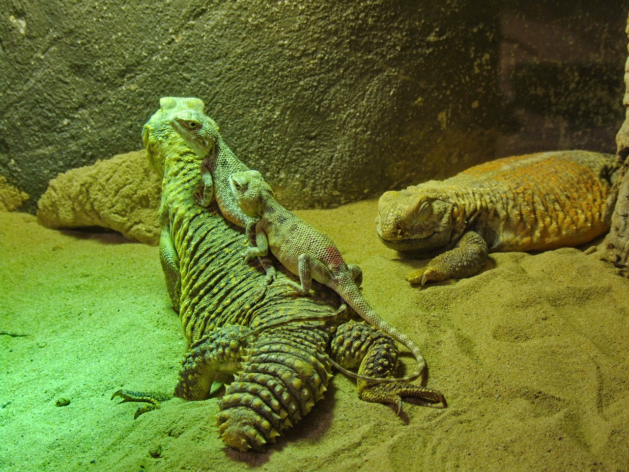 Die unerträgliche Leichtigkeit des Seins