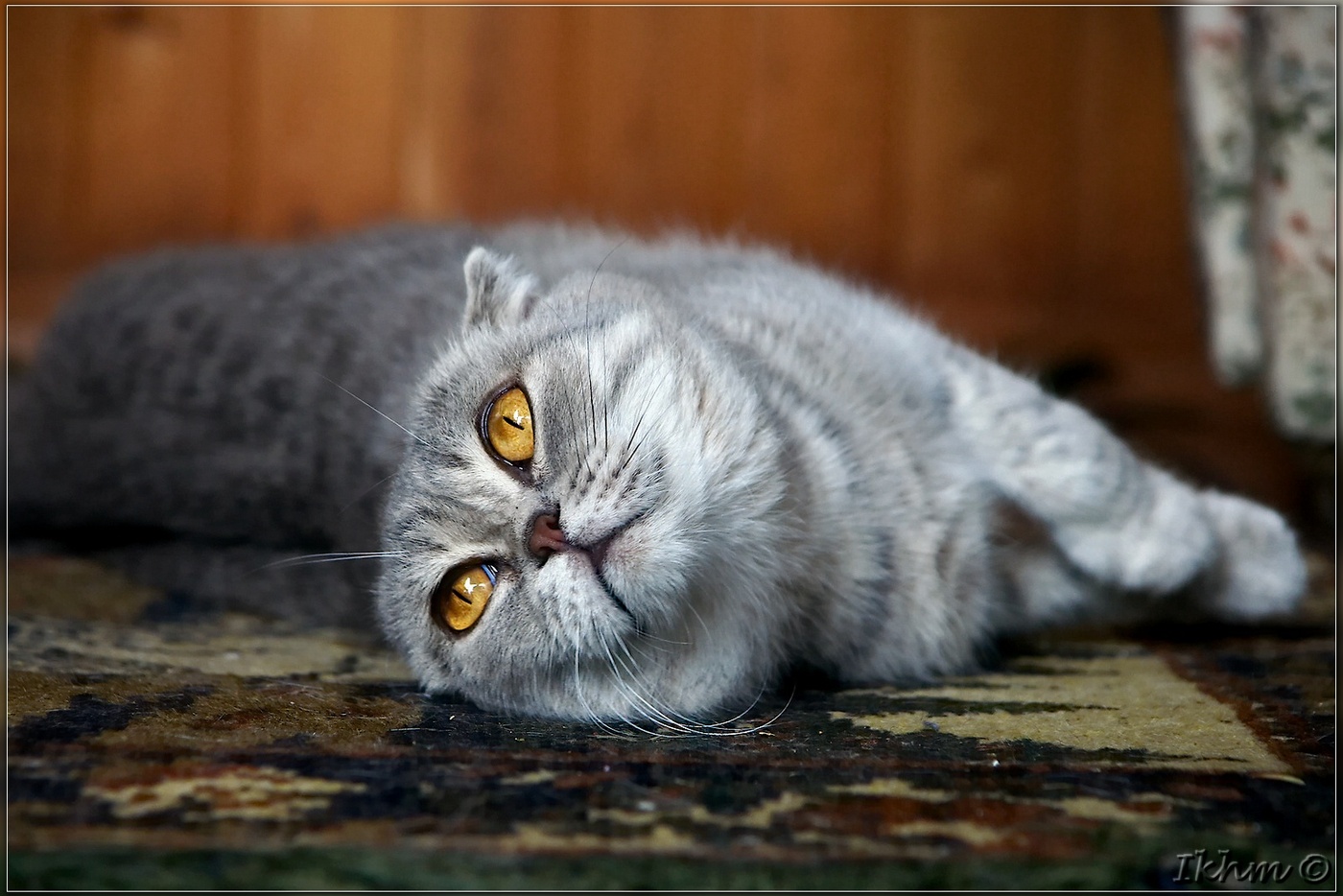 Sommerliche Langeweile