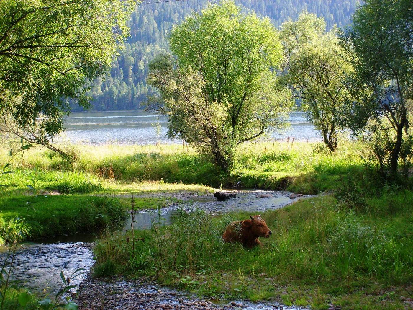 Sommerliche Langeweile