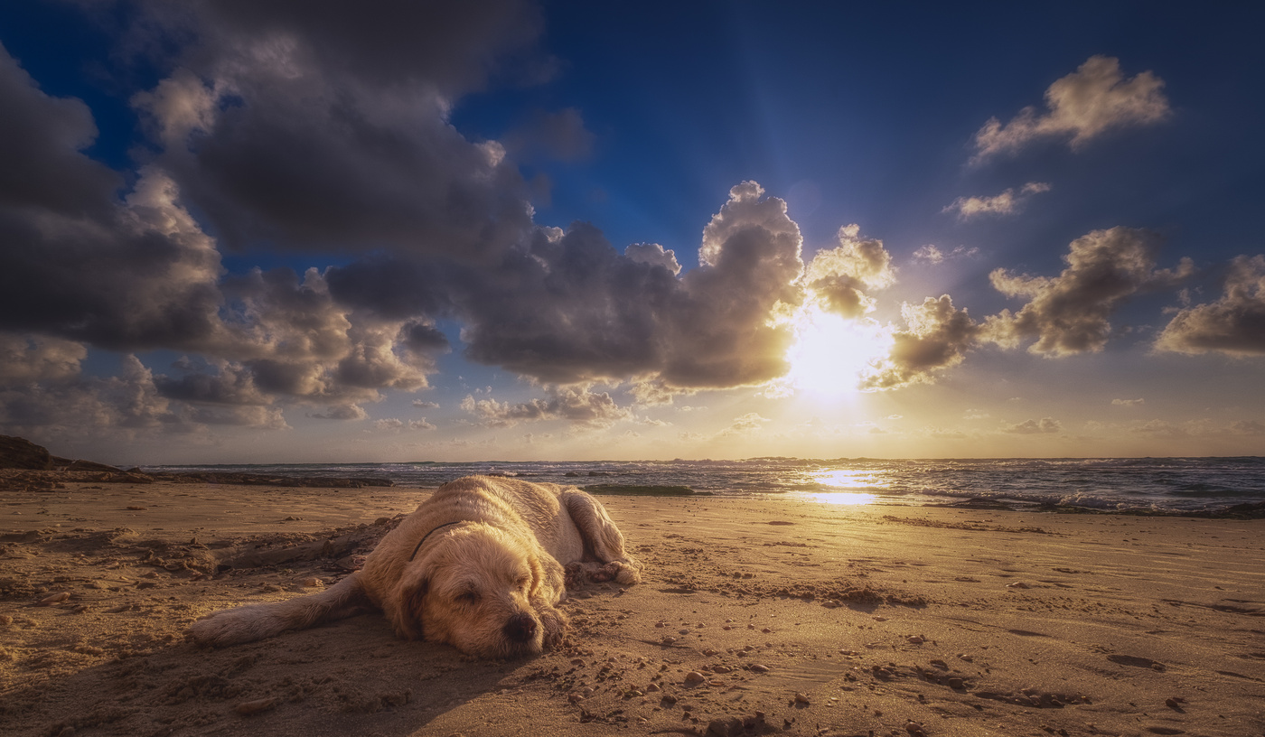 Sommerliche Langeweile