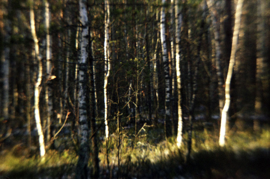 Sommerliche Langeweile