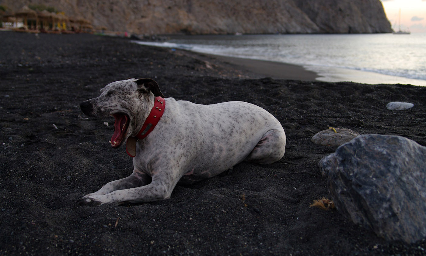 Sommerliche Langeweile