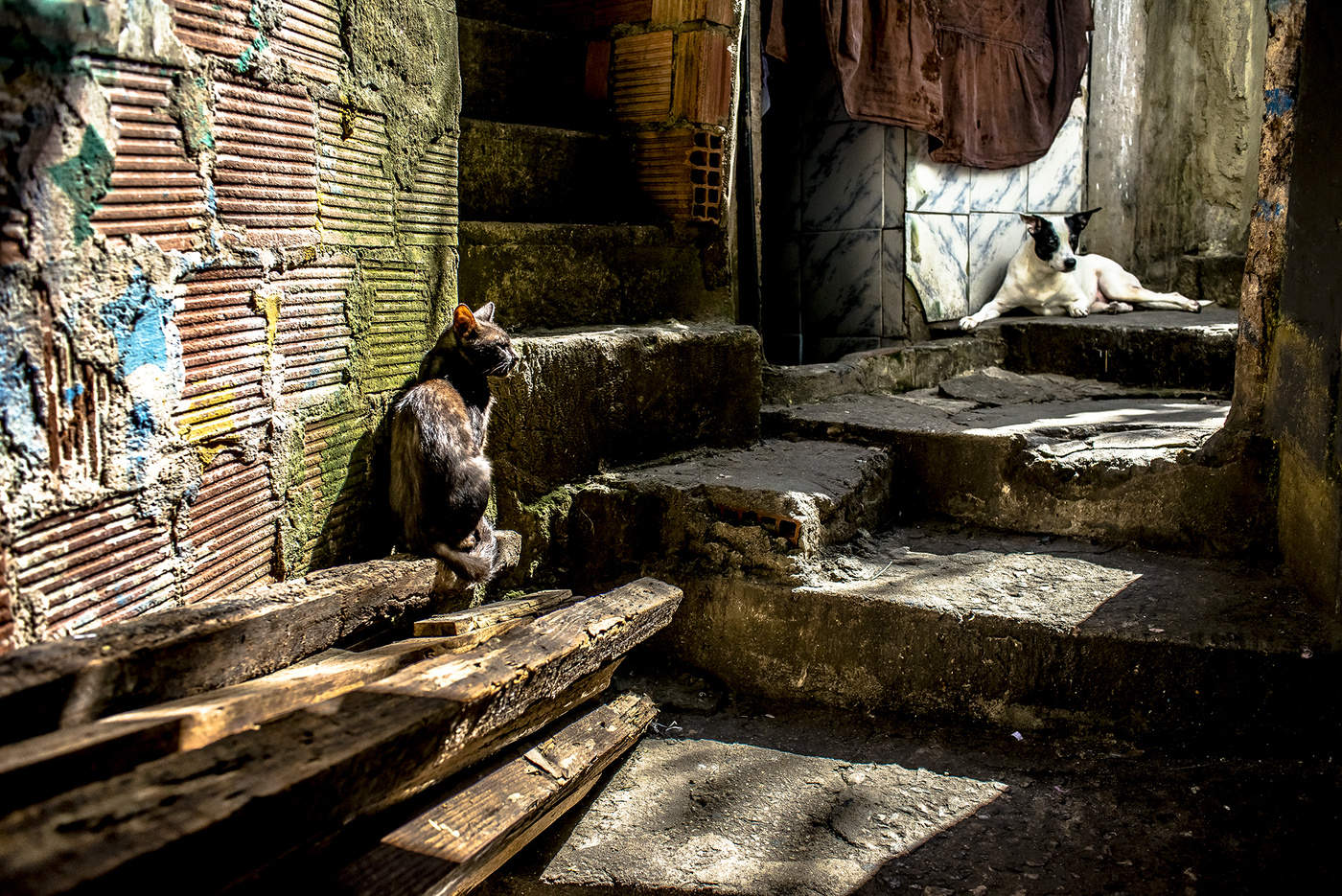 Sommerliche Langeweile