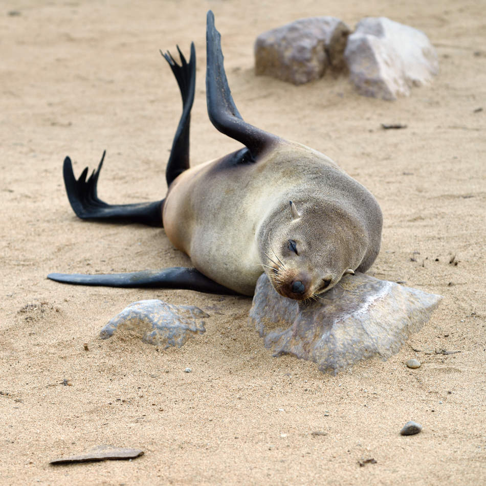 Sommerliche Langeweile