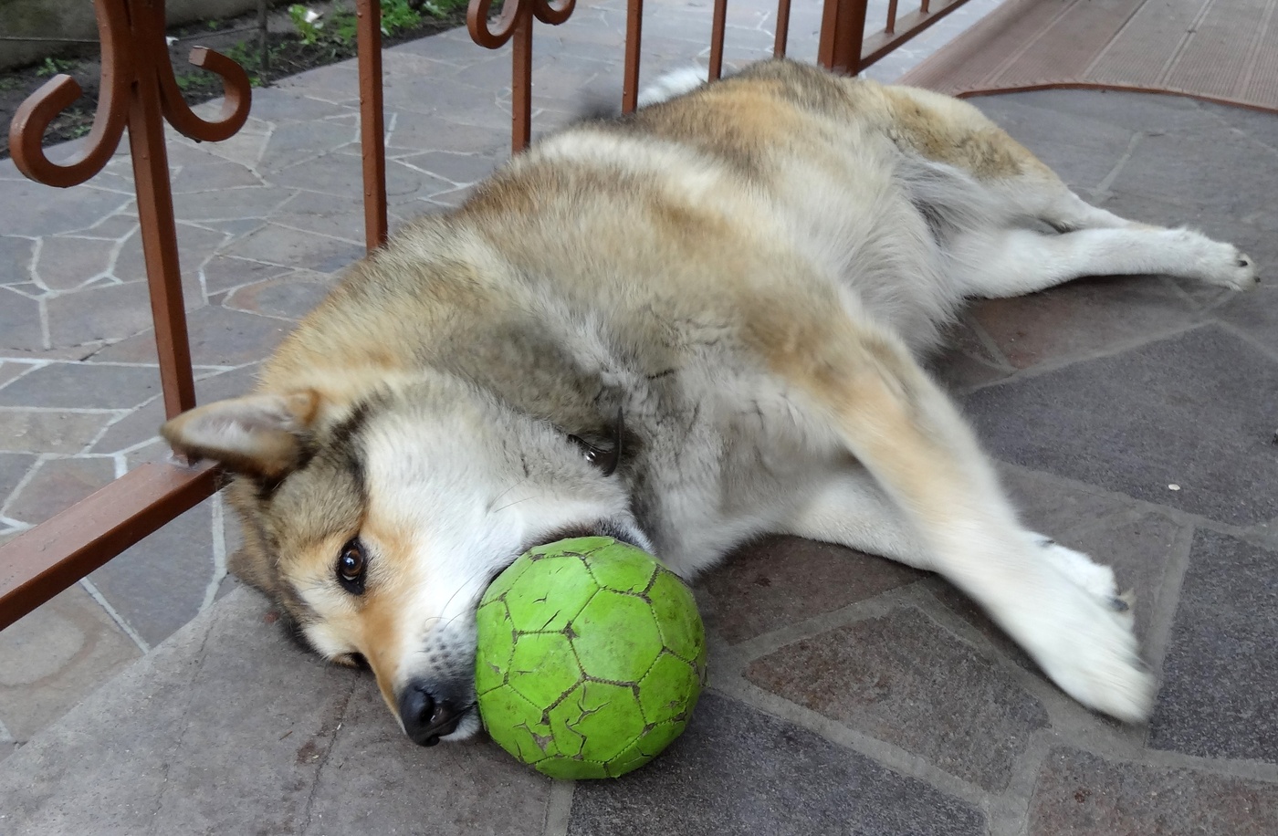 Sommerliche Langeweile