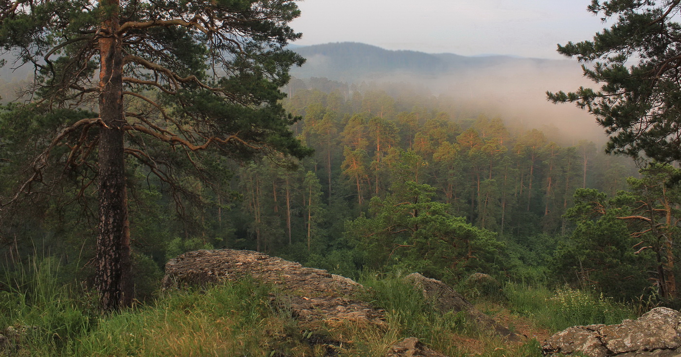 Der Morgen des neuen Tages