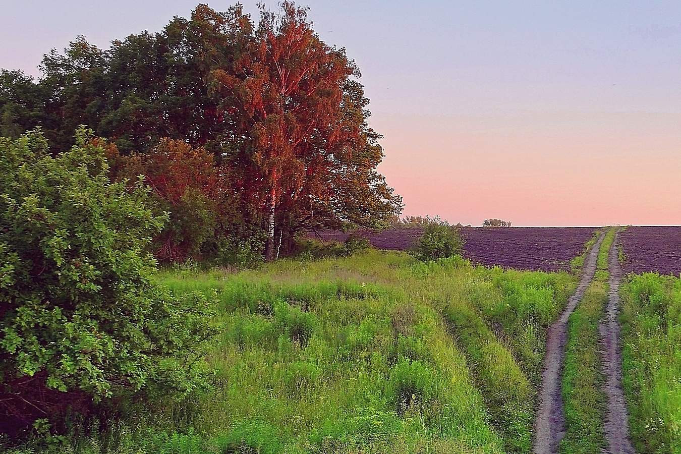 Abend auf dem Gebiet