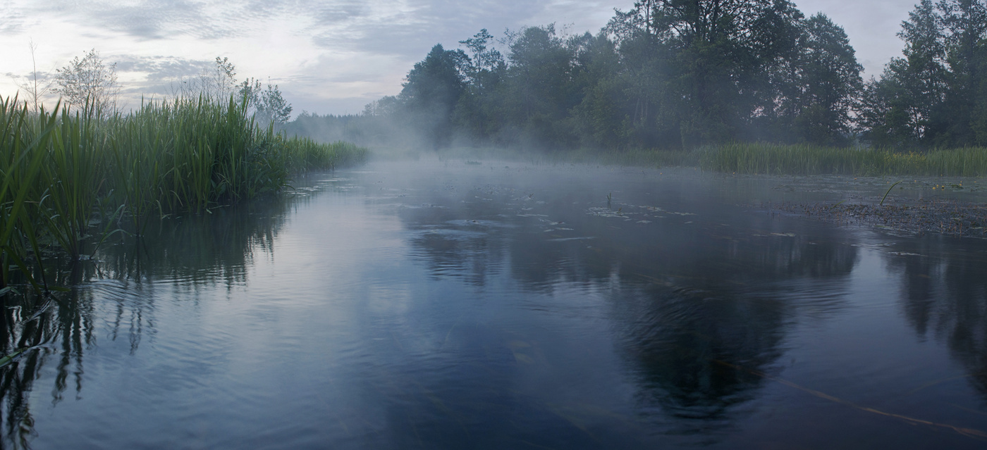 Morgen auf dem Fluss