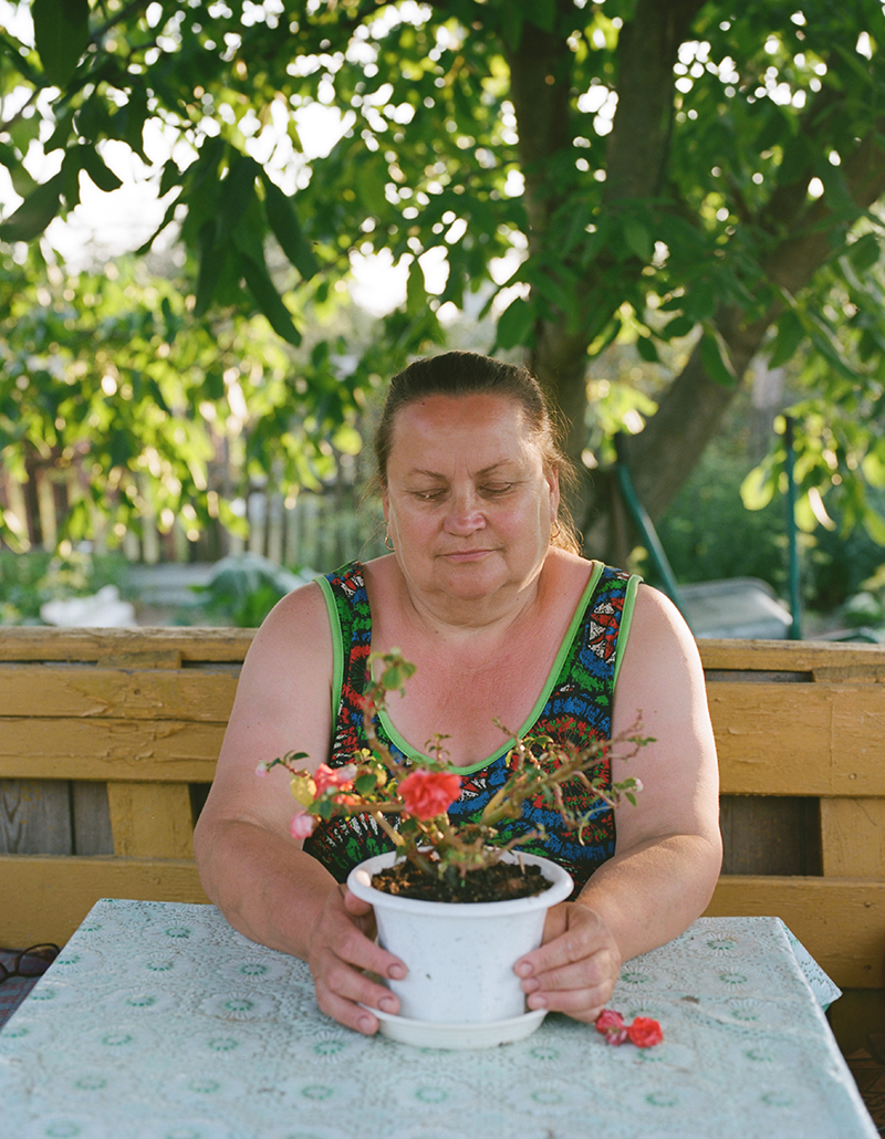 Portrait einer Blume