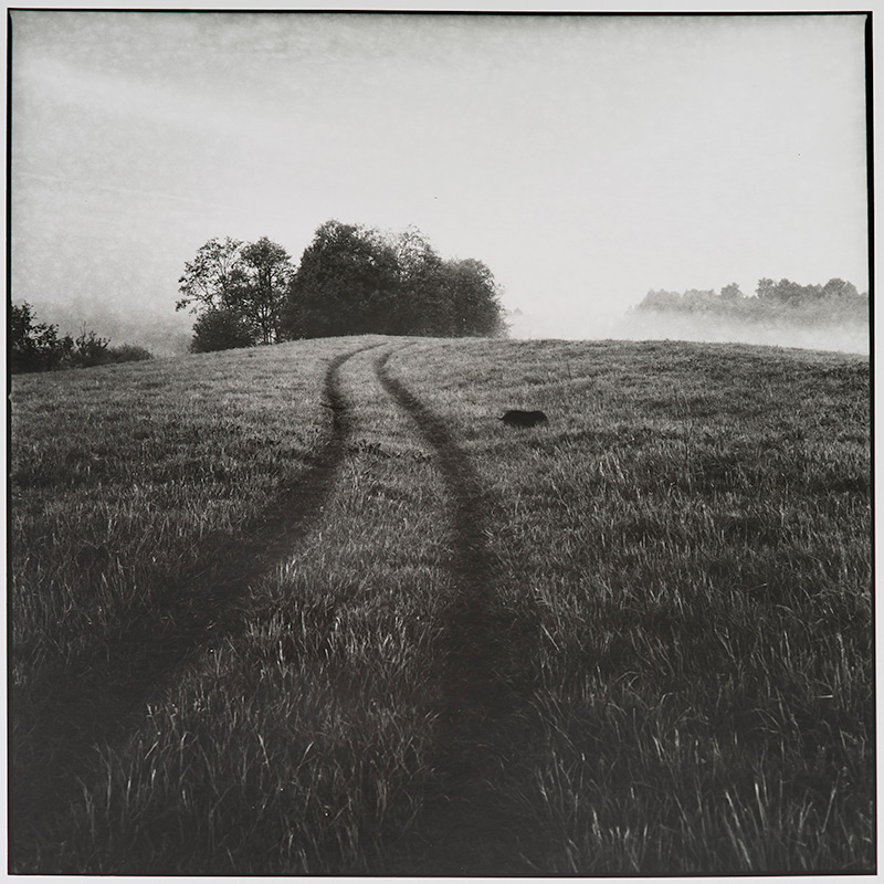 773-H-130519-RolleiIR-002