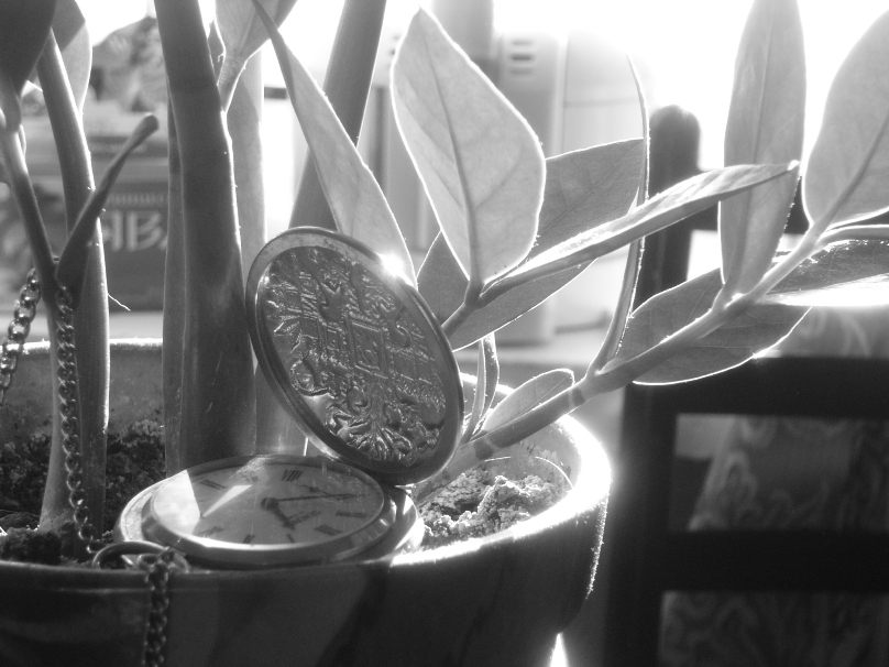 einen Moment innehalten - du bist toll!