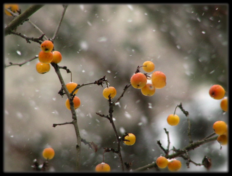 Wenn in Ihrem Schnee ...