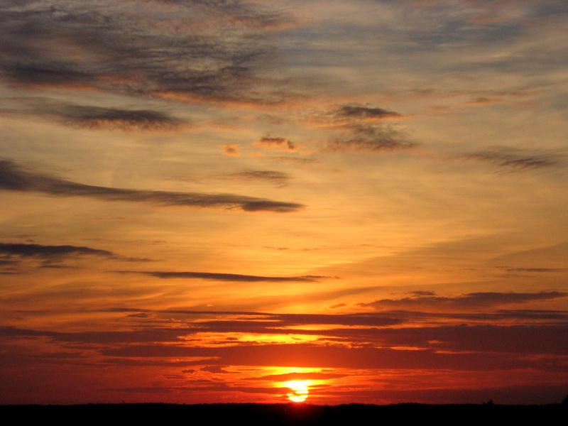 Der nächste Tag war Braslavsky ...