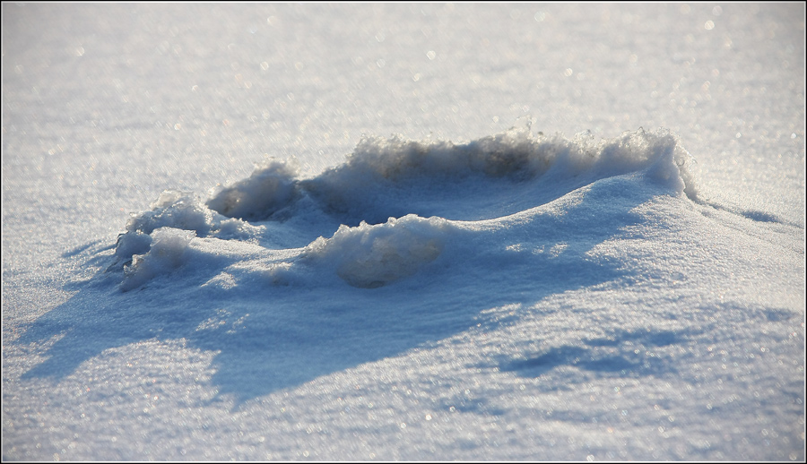 Aus dem Leben der Krater
