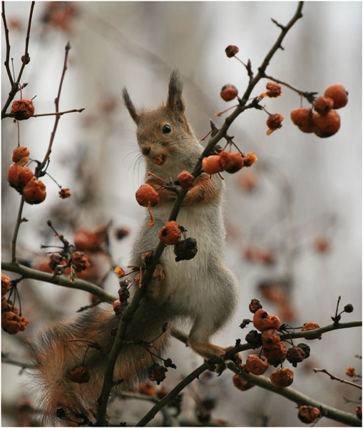 nichttriviale über Protein