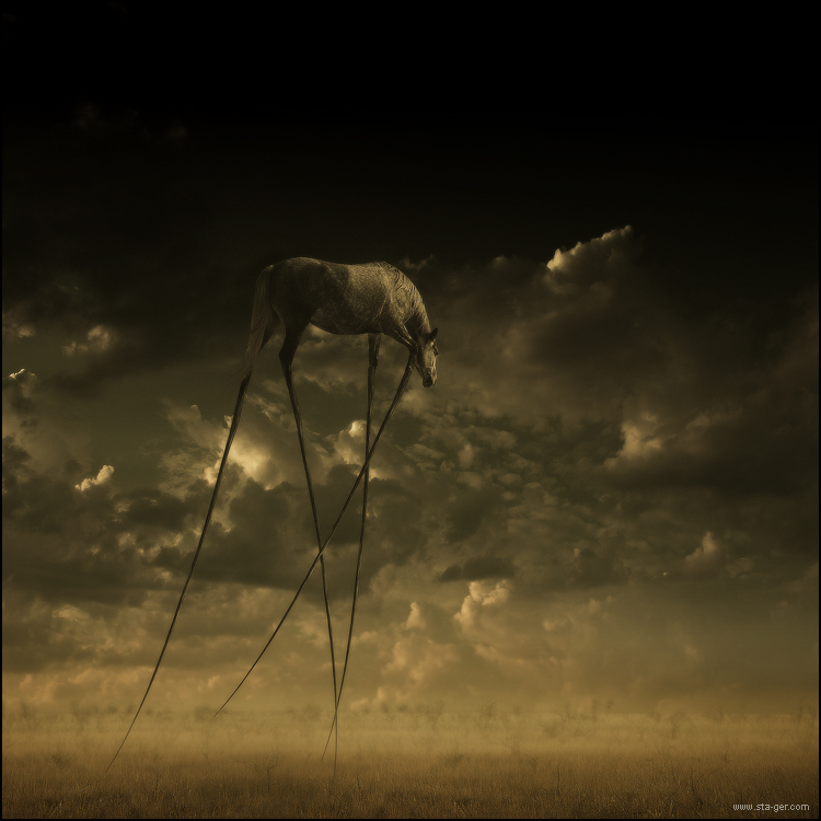 Anteil der großen ..