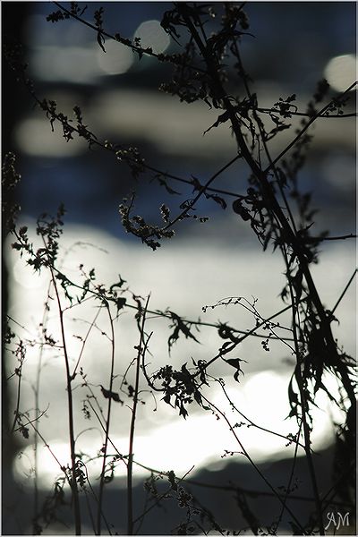 Und es ist leicht ...