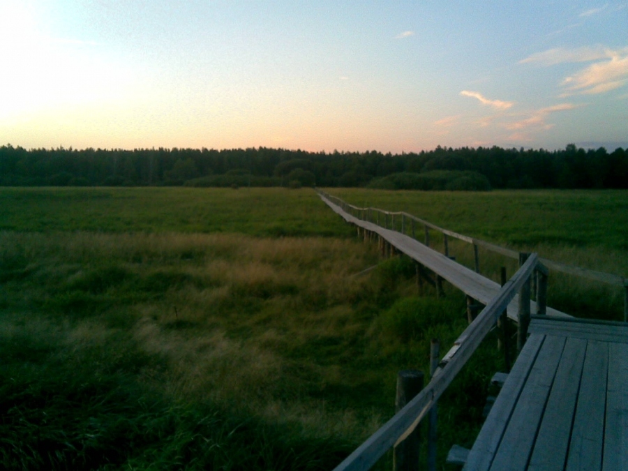 uxodyaschiya Spur im Wald
