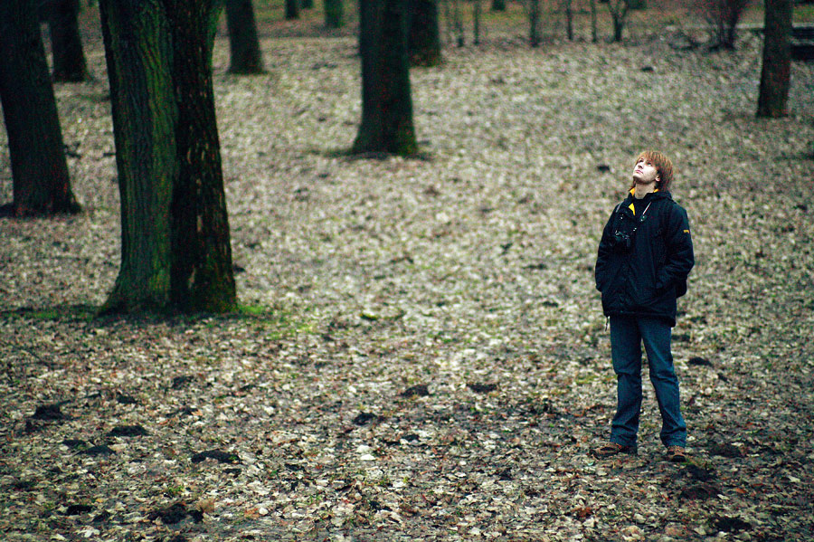 ... Im Wunderland ...