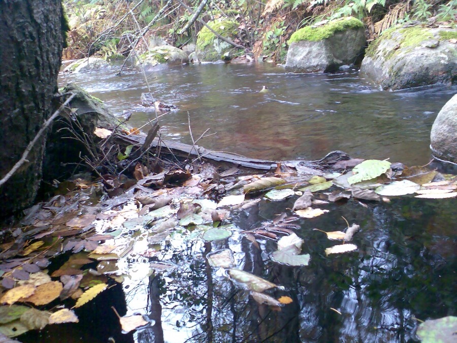 Der Sommer ist vorbei