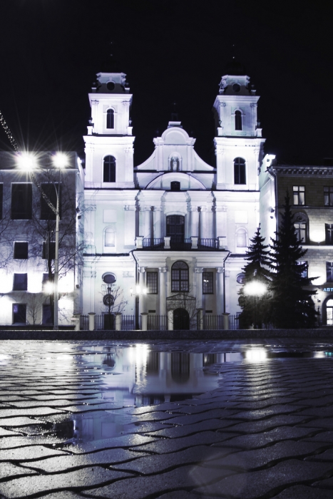 Reflections on Virgin Mary