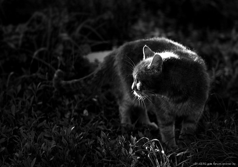 Lichtblick in der Dunkelheit