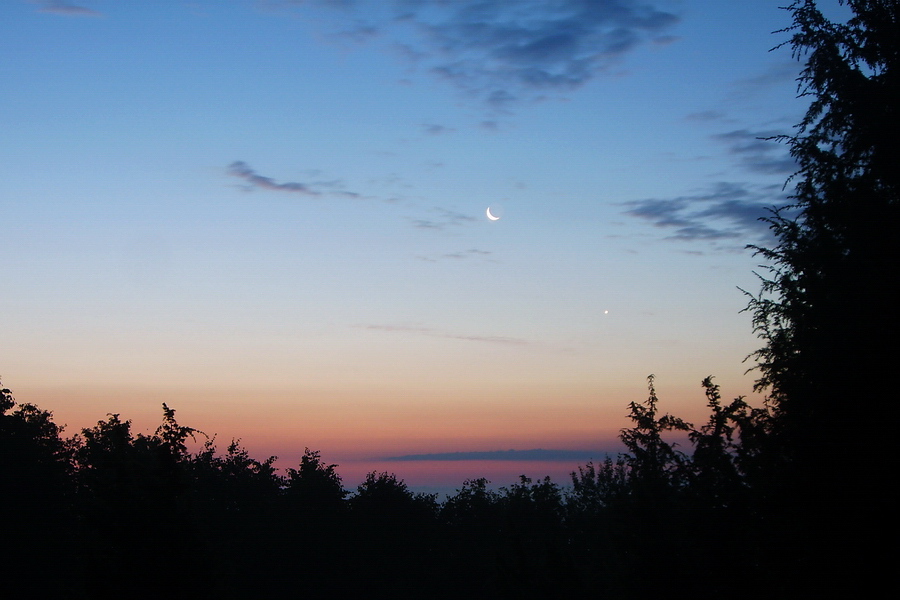 Sonnenaufgang im Wald