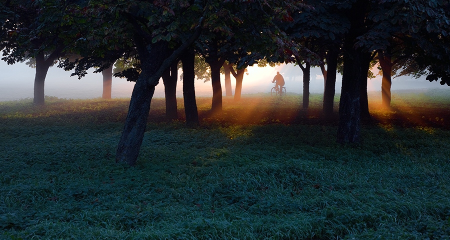 Zur Ausübung, um ... zu verlassen.